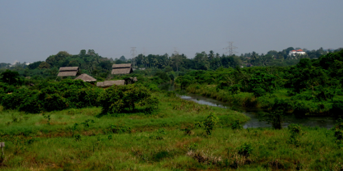 Wetland_park_thalawathugoda