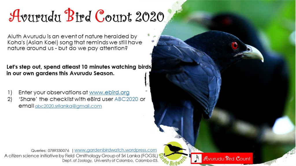 ABC2020 Flyer 1