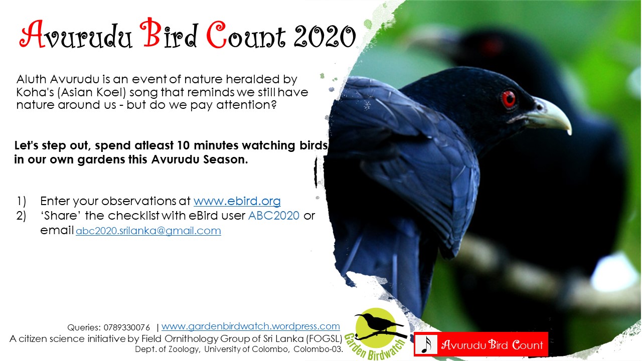Avurudu Bird Count 2020