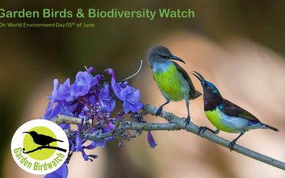 Garden Birds and Biodiversity Watch 2023