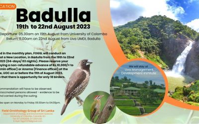 Field visit to Badulla