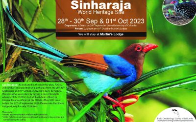 Field visit to Sinharaja Rain Forest
